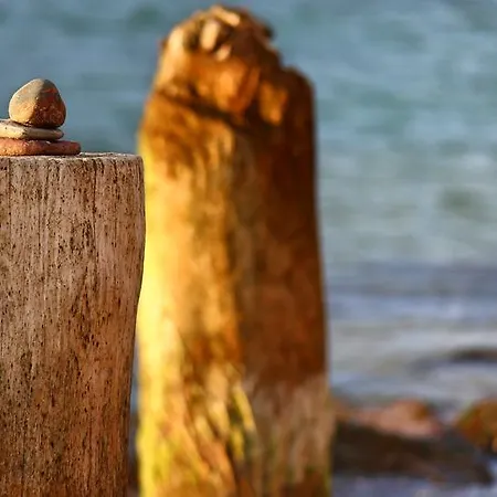 Apartmán Dom Baltycki *